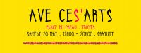 20/05/2017 : Ave Ces'Arts - Festival Street Culture  Troyes